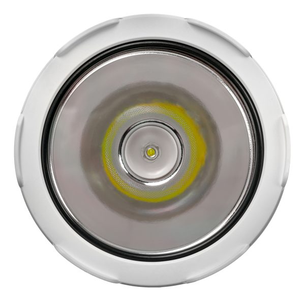 Фонарь FOCUSray 1336